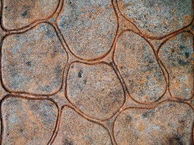 Fall Stamped Concrete
