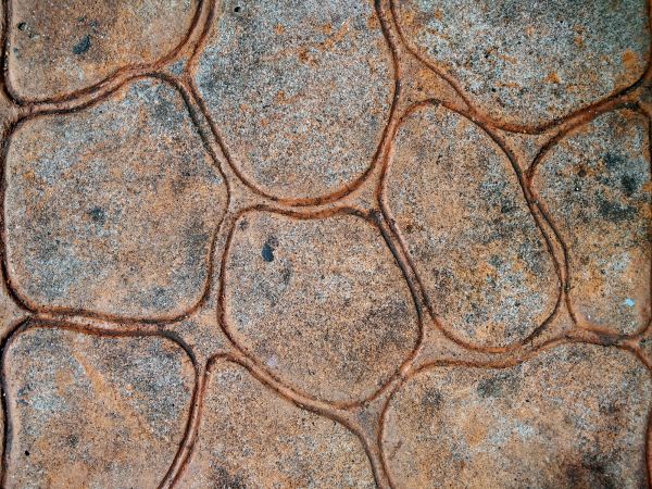 Cost of Concrete Stamping in Clayton