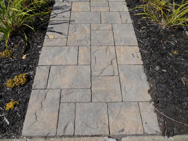 Cost of Stamped Concrete Staining in Clayton