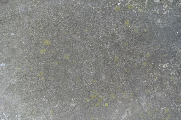 Cost of Slab Staining Service in Clayton